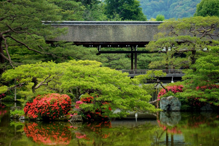 静幽园林廊桥风景