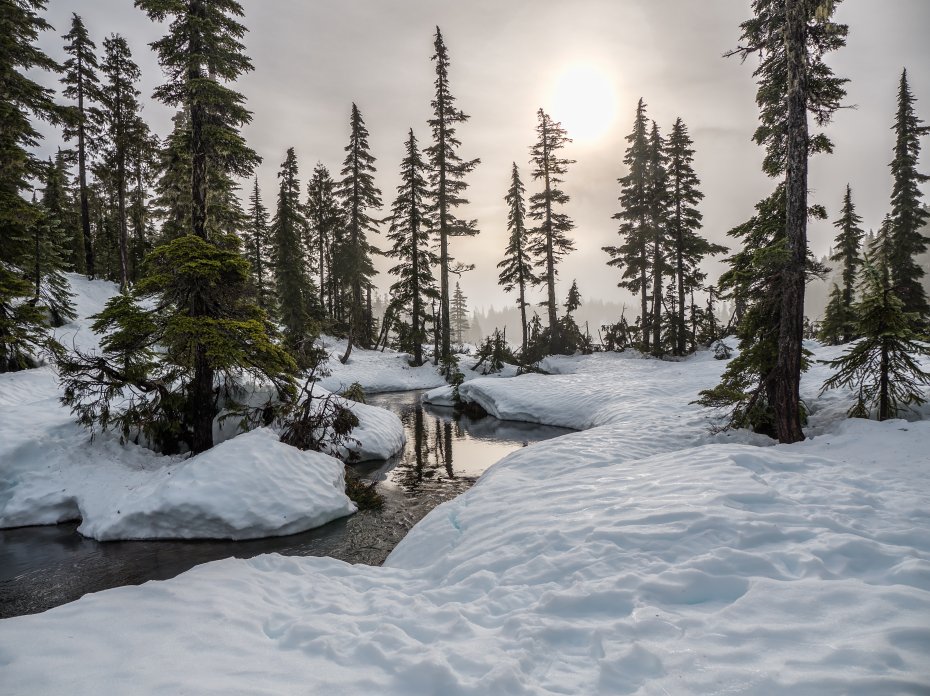 雪山森林河流