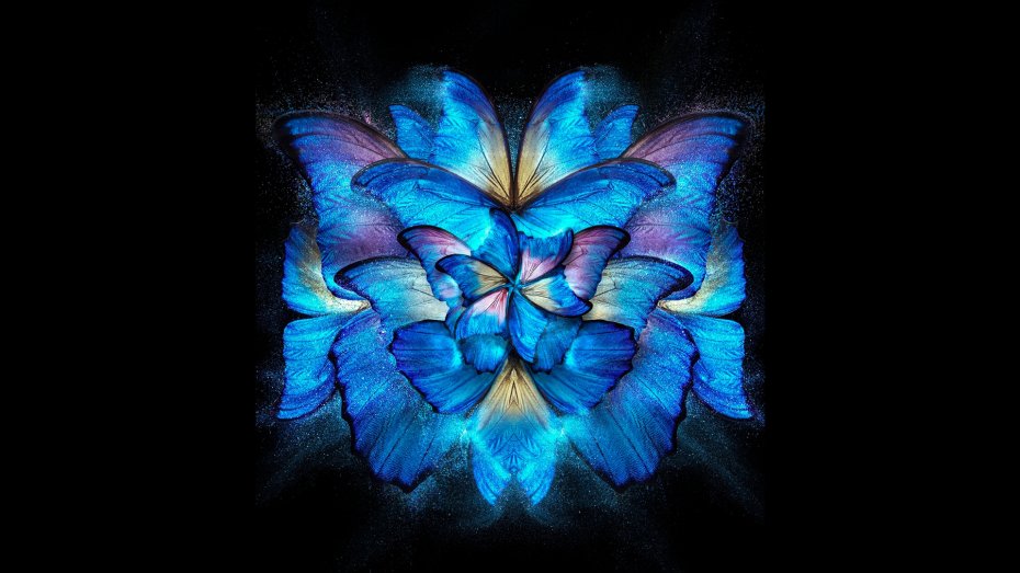创意蓝色蝴蝶