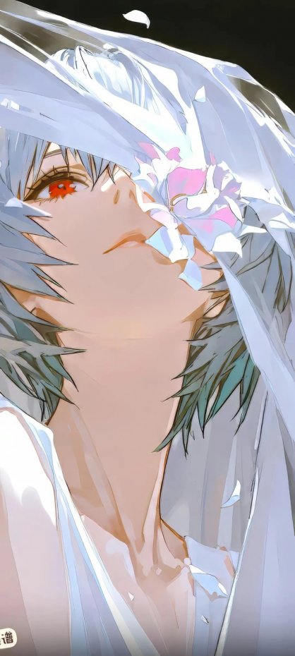 银发红眸遮面动漫角色插画