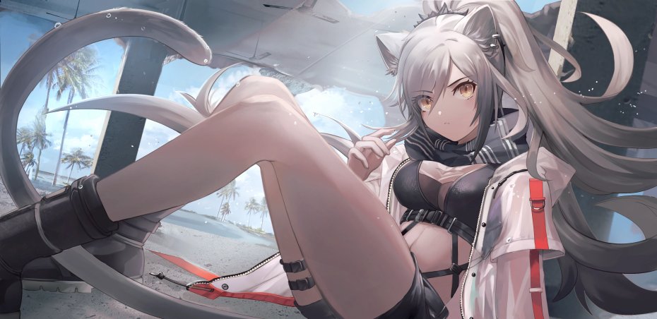 兽耳多尾少女海滨休闲装插画壁纸