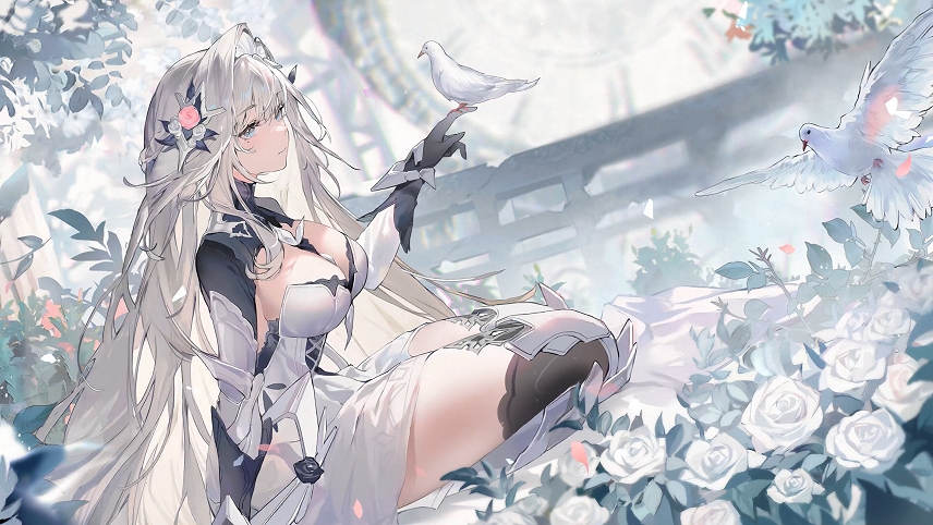 孤独的梦想 Bianca Stigmata 惩罚：灰乌鸦动态壁纸