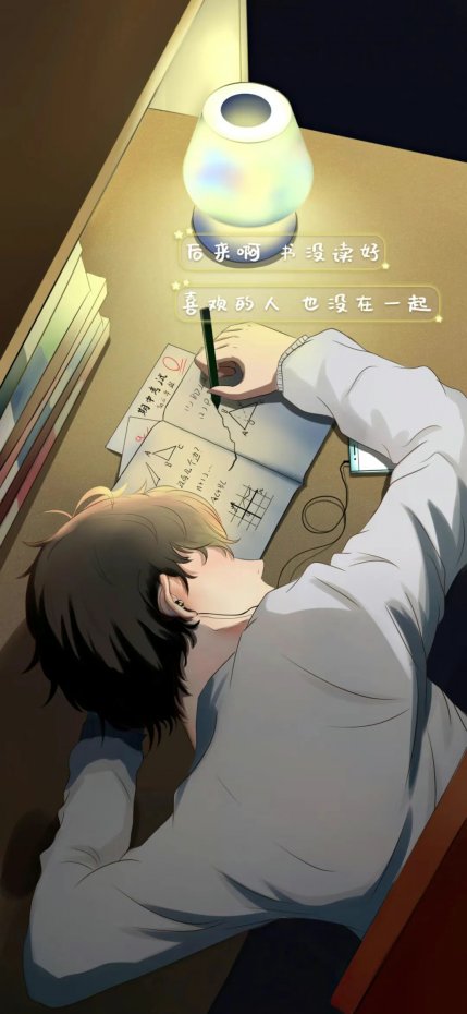 “后来啊 书没读好 喜欢的人也没在一起” 伤感文字风手机壁纸
