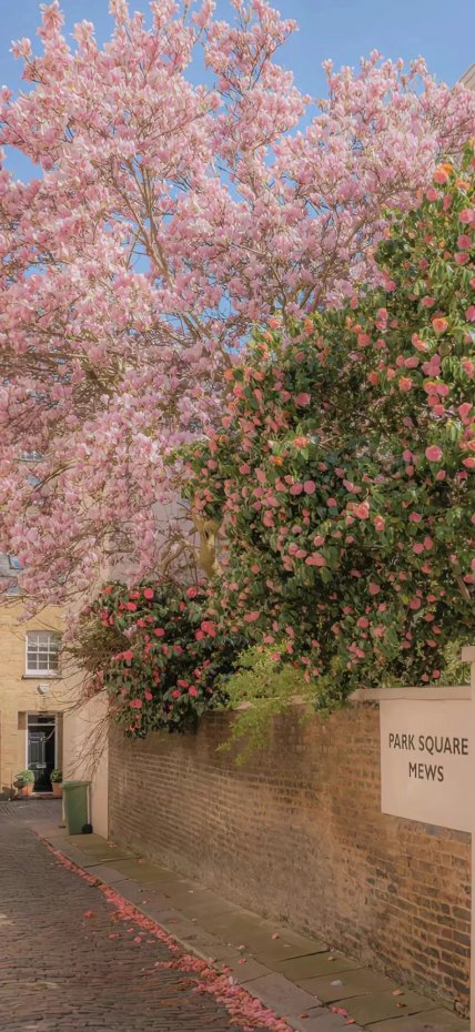 “PARK SQUARE MEWS” 街道风景风手机壁纸