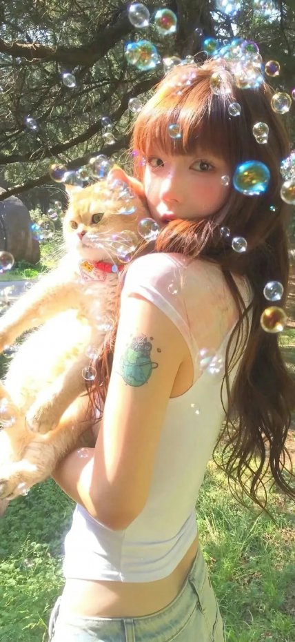 抱猫少女清新风手机壁纸