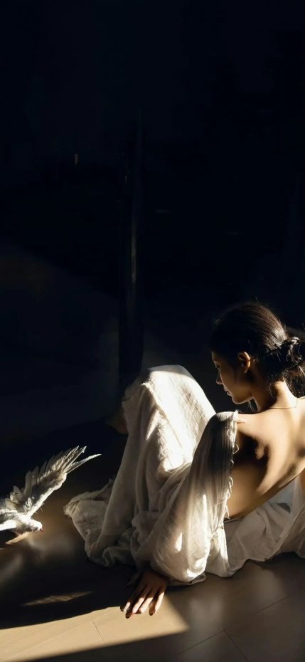 光影下白衣少女与飞鸟意境风手机壁纸