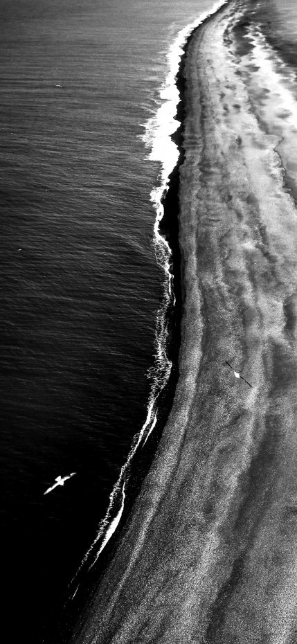 海岸线黑白意境风手机壁纸