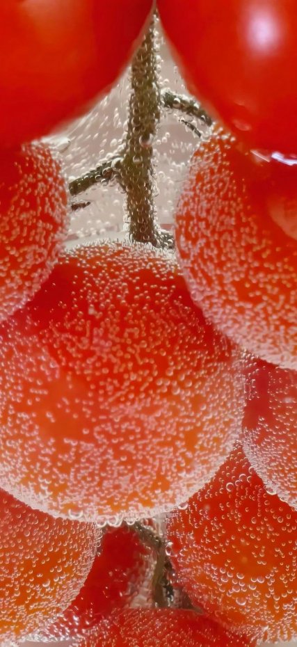 带水珠小番茄清新风手机壁纸