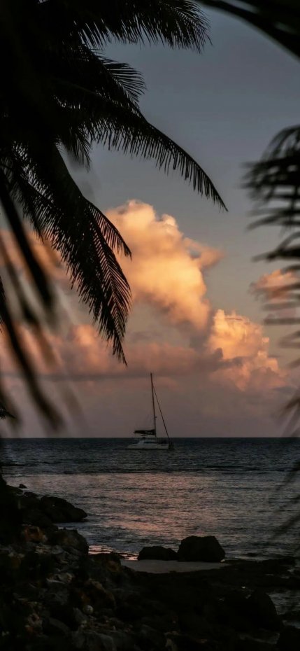 海边日落帆船氛围感手机壁纸