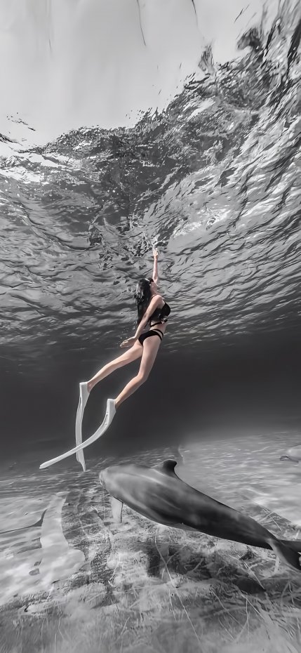 黑白风水下少女与海豚互动手机壁纸
